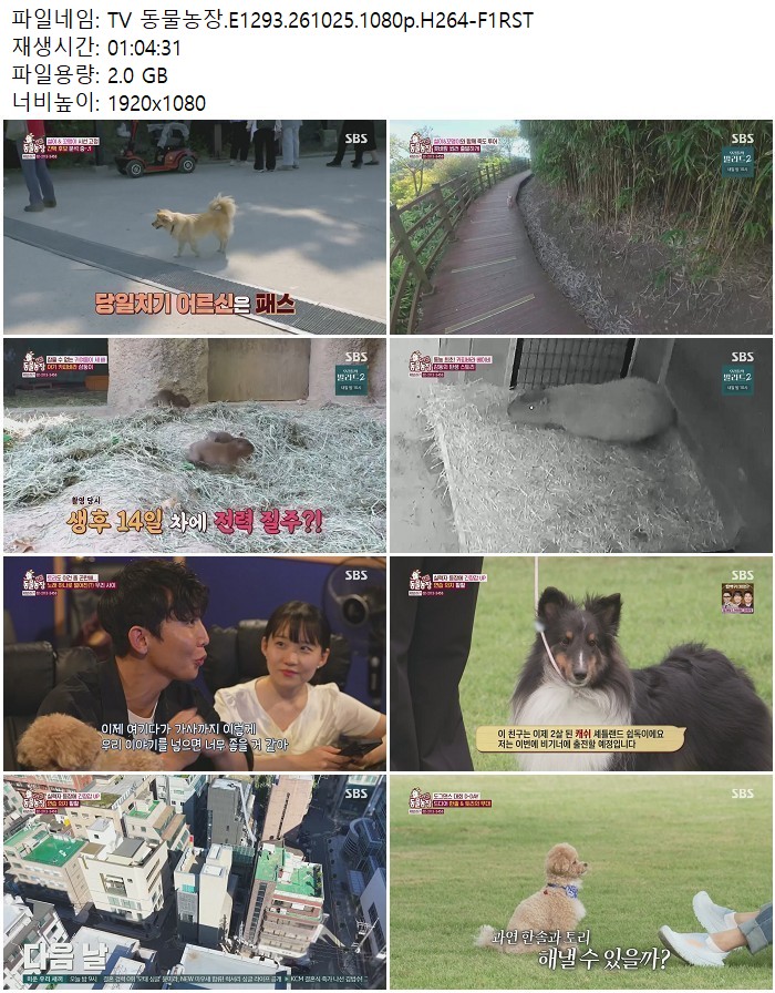 TV 동물농장.E1293.261025.1080p.H264