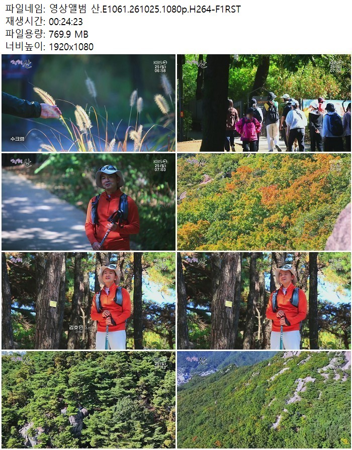 영상앨범 산.E1061.261025.1080p.H264