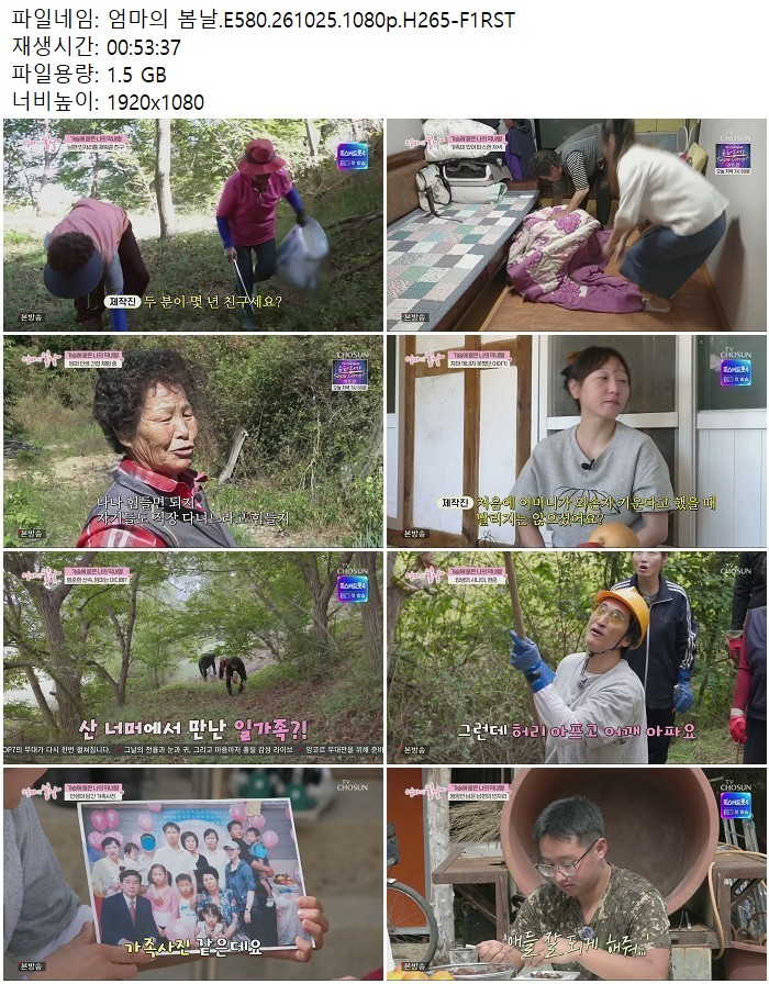 엄마의 봄날.E580.261025.1080p.H265