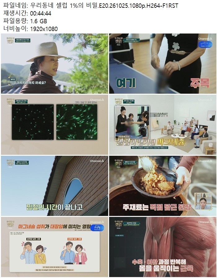 우리동네 셀럽 1%의 비밀.E20.261025.1080p.H264