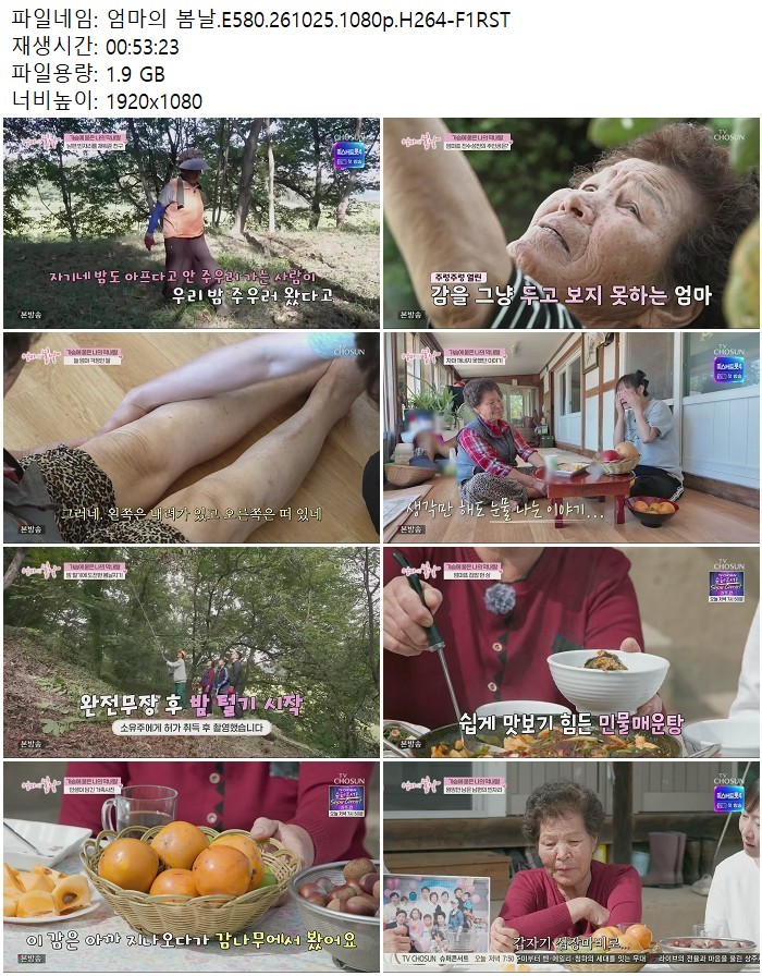 엄마의 봄날.E580.261025.1080p.H264