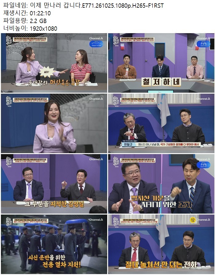 이제 만나러 갑니다.E771.261025.1080p.H265