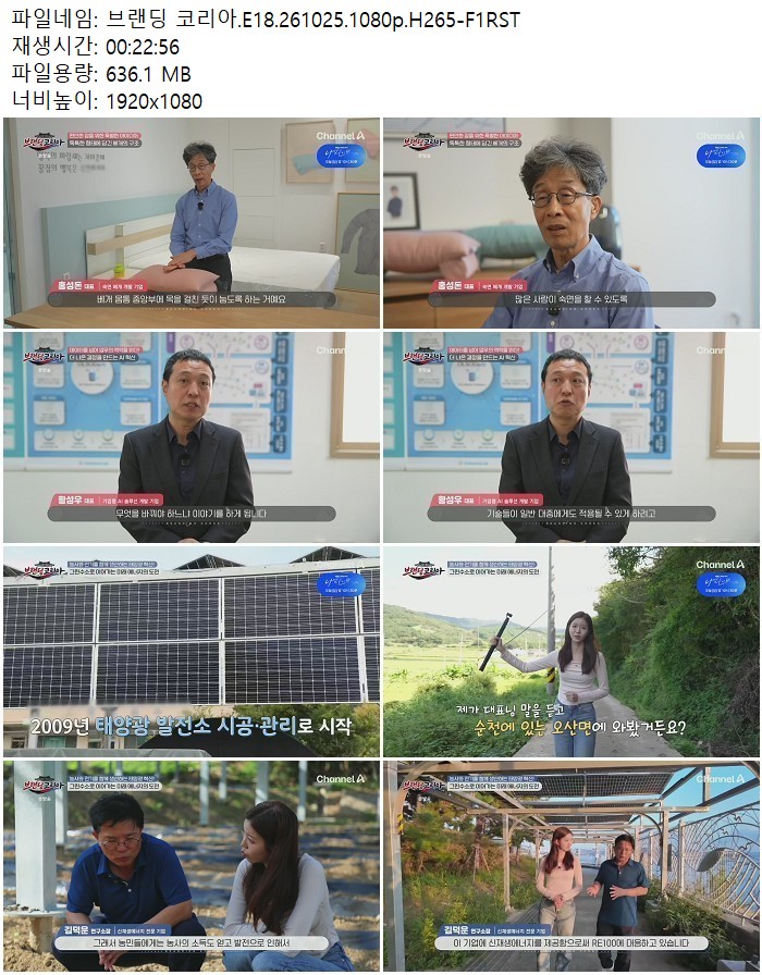 브랜딩 코리아.E18.261025.1080p.H265