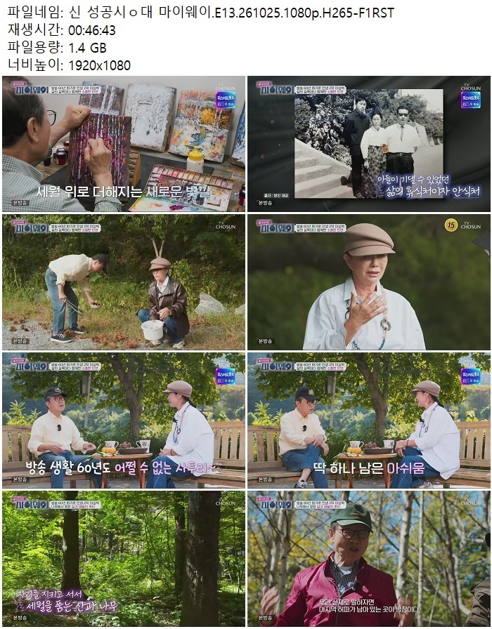 신 성공시ㅇ대 마이웨이.E13.261025.1080p.H265