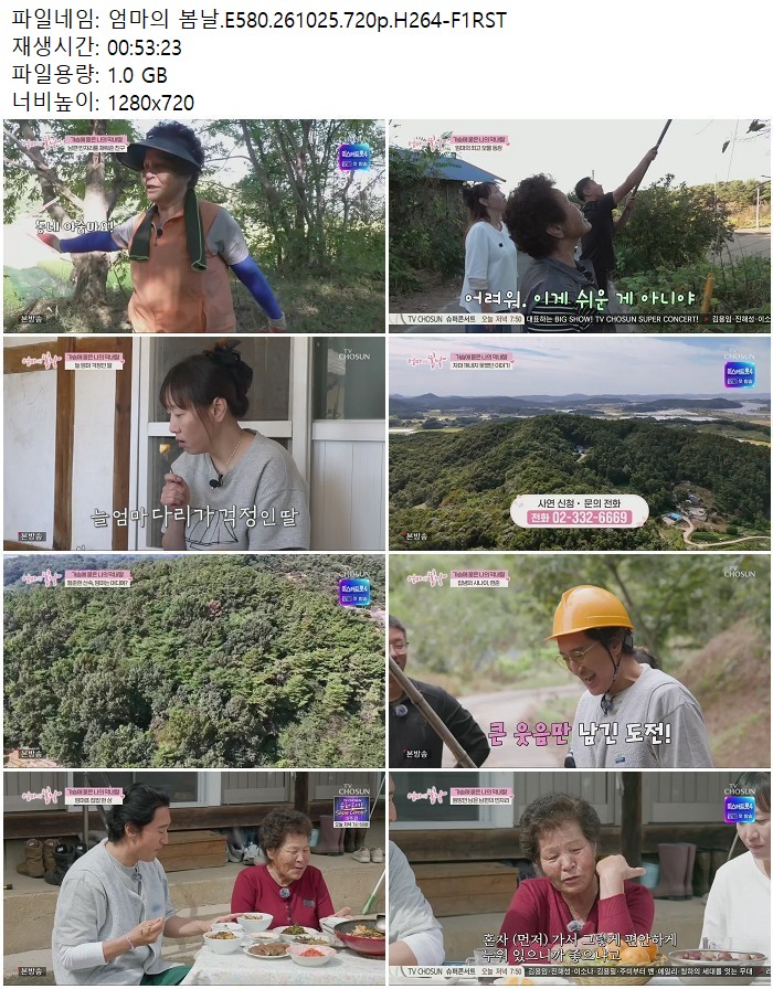 엄마의 봄날.E580.261025.720p.H264