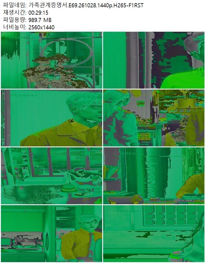 가족관계증명서.E69.261028.1440p.H265-F1RST