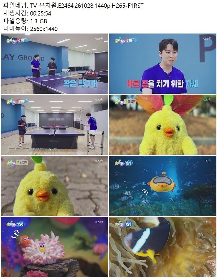 TV 유치원.E2464.261028.1440p.H265