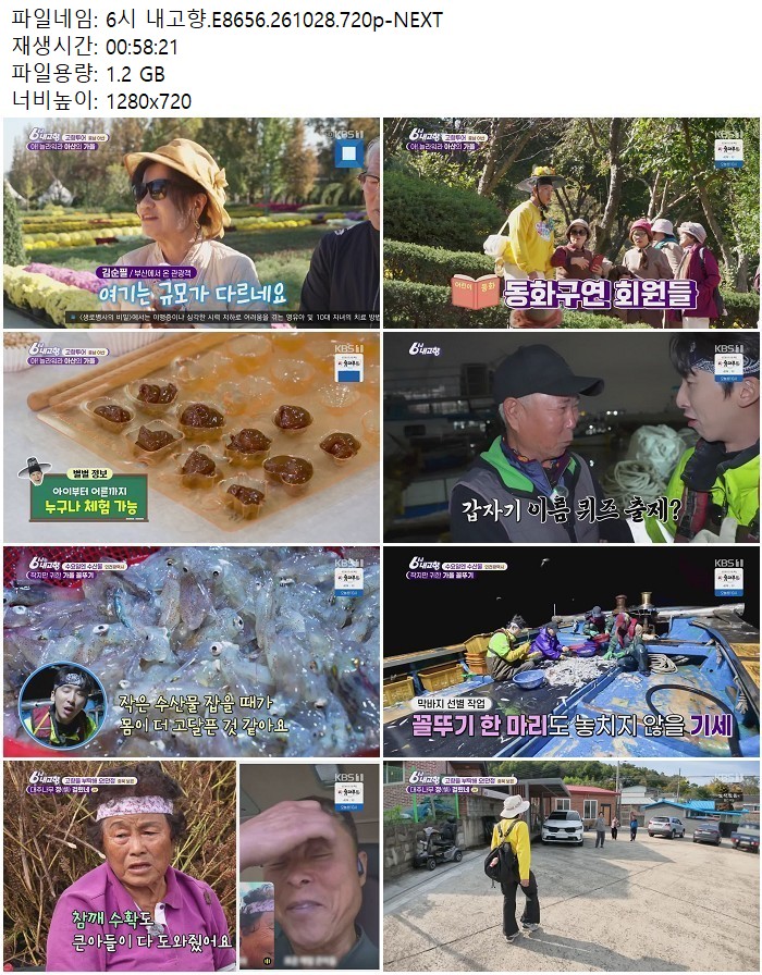6시 내고향.E8656.261028.720p-NEXT