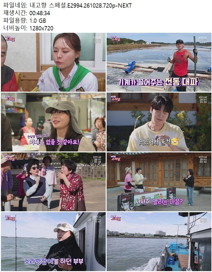 내고향 스페셜.E2994.261028.720p-NEXT