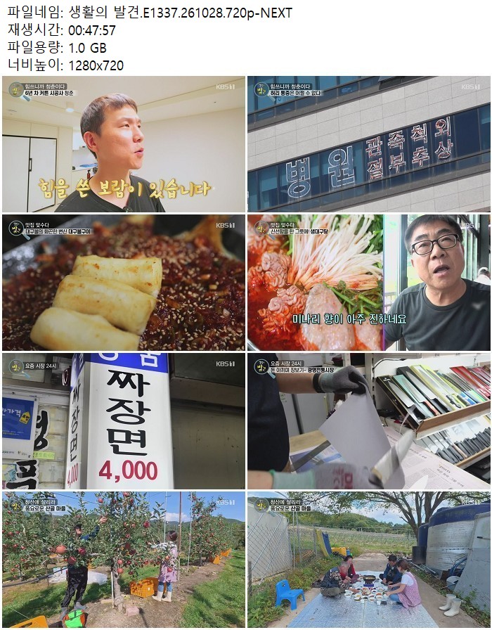 생활의 발견.E1337.261028.720p-NEXT