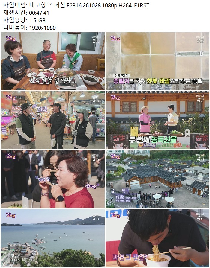내고향 스페셜.E2316.261028.1080p.H264