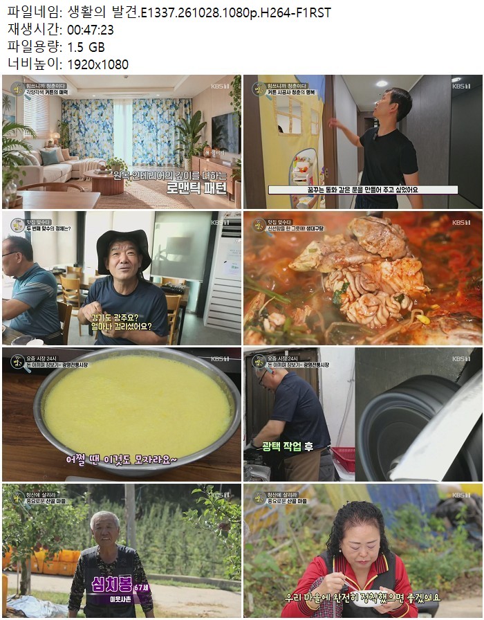 생활의 발견.E1337.261028.1080p.H264