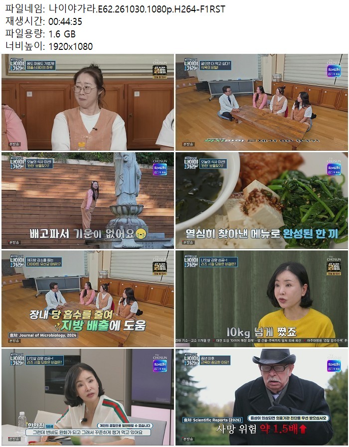 나이야가라.E62.261030.1080p.H264
