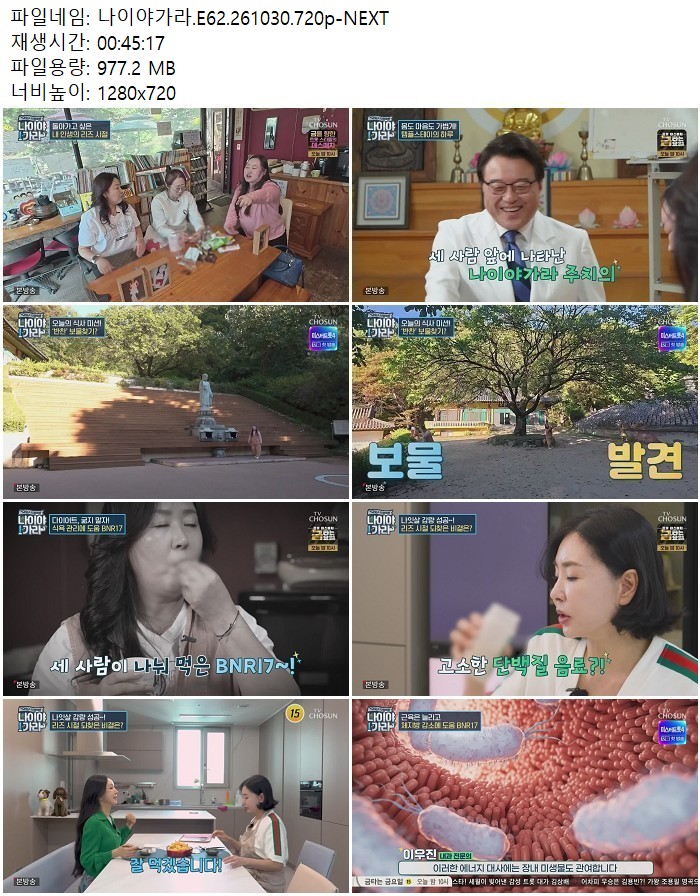 나이야가라.E62.261030.720p-NEXT